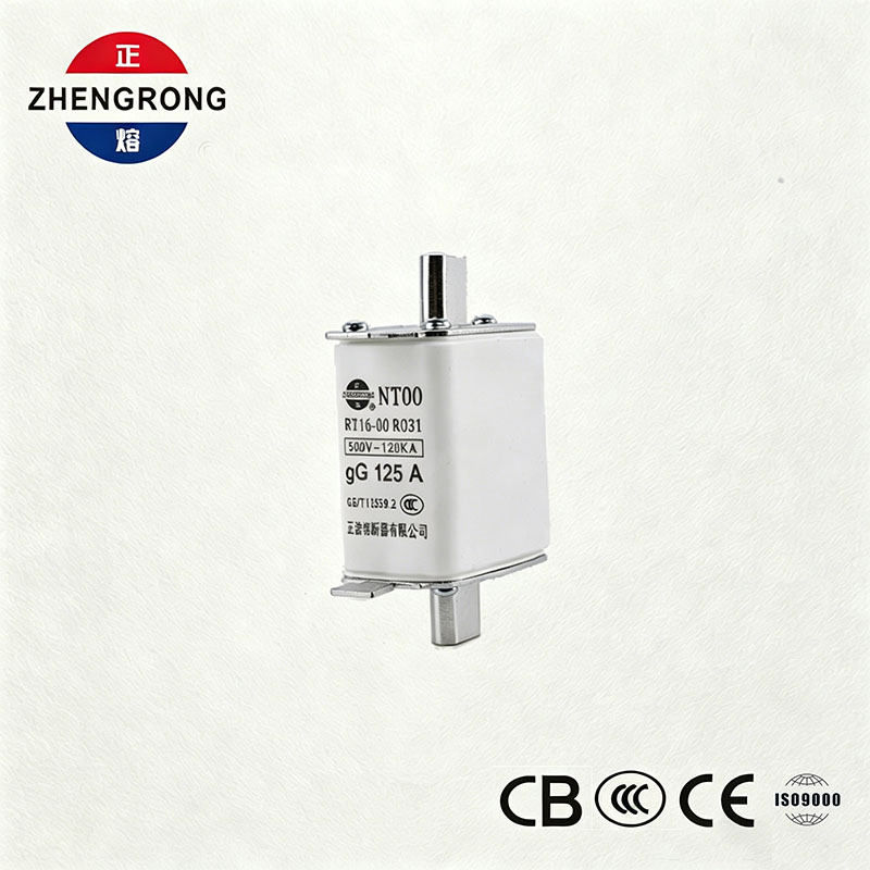 Cumas Briseadh Ard NT00 125A Fiús - 500V 120kA Nasc Fuse gG Ceirmeach