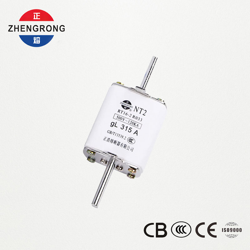 Nasc Fuse NT2 315A | RT16-2 500V gL Fiús Ceirmeach